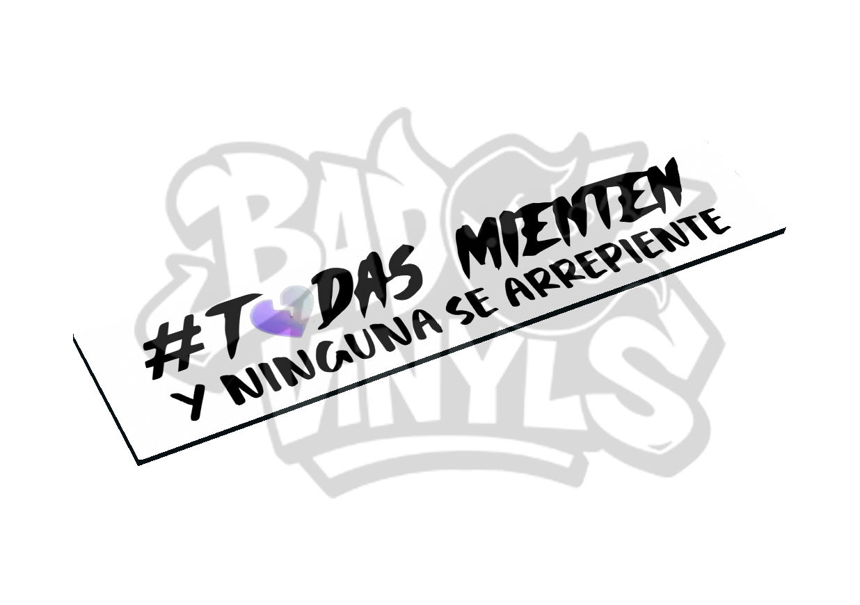 CUBRE MATRICULAS TODAS MIENTEN