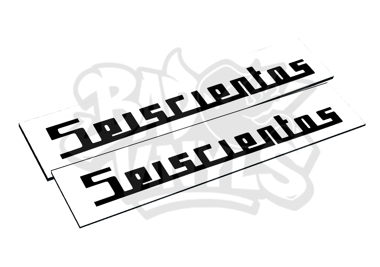 CUBRE MATRICULAS SEISCIENTOS (PACK 2 UNIDADES)