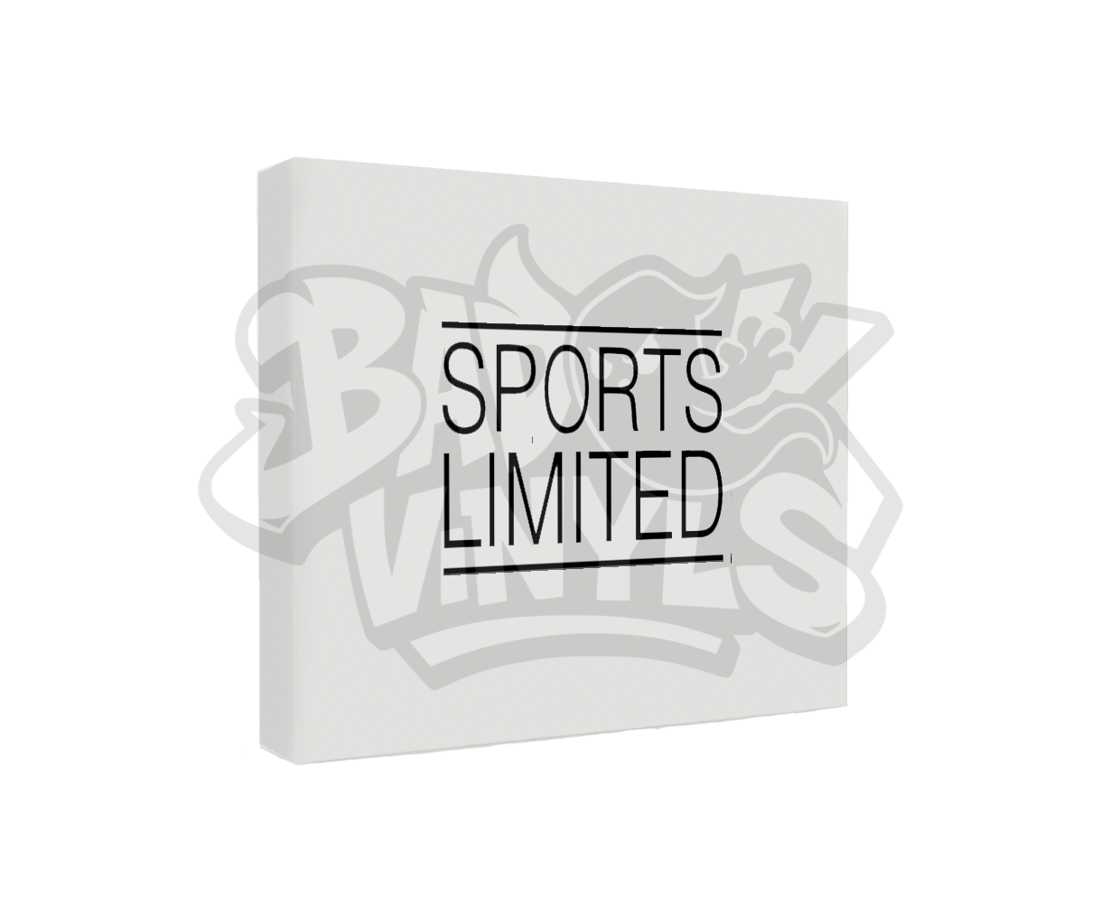 PEGATINA SPORTS LIMITED
